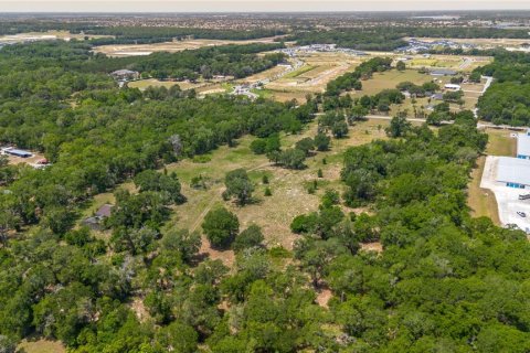 Land in Lady Lake, Florida № 2213833 - photo 11