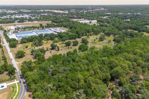 Land in Lady Lake, Florida № 2213833 - photo 16