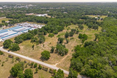 Land in Lady Lake, Florida № 2213833 - photo 3