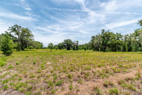 Land in Lady Lake, Florida № 2213833 - photo 6