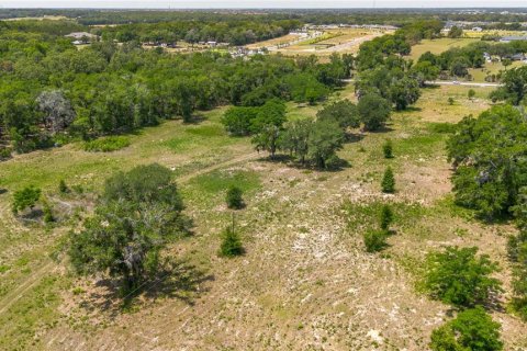 Land in Lady Lake, Florida № 2213833 - photo 20