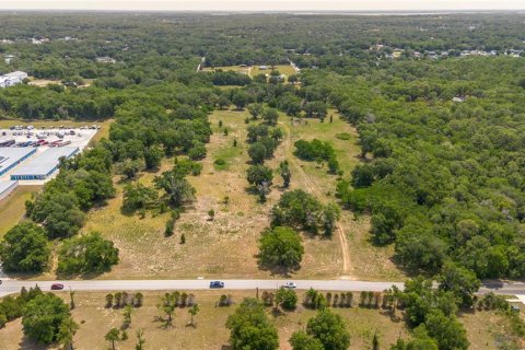 Land in Lady Lake, Florida № 2213833 - photo 2