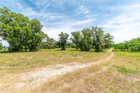 Land in Lady Lake, Florida № 2213833 - photo 5