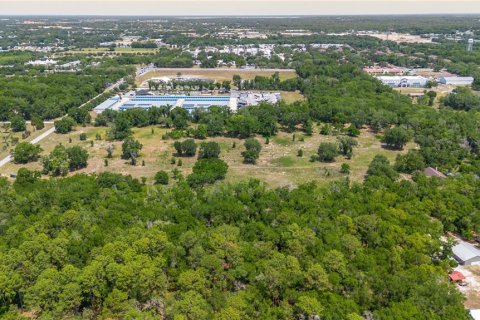 Land in Lady Lake, Florida № 2213833 - photo 15