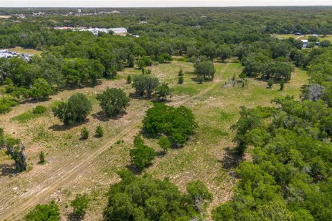 Land in Lady Lake, Florida № 2213833 - photo 17