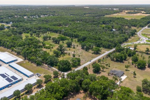 Land in Lady Lake, Florida № 2213833 - photo 21