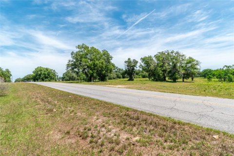 Land in Lady Lake, Florida № 2213833 - photo 10
