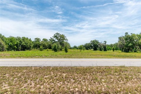 Land in Lady Lake, Florida № 2213833 - photo 9