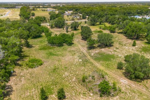 Land in Lady Lake, Florida № 2213833 - photo 18