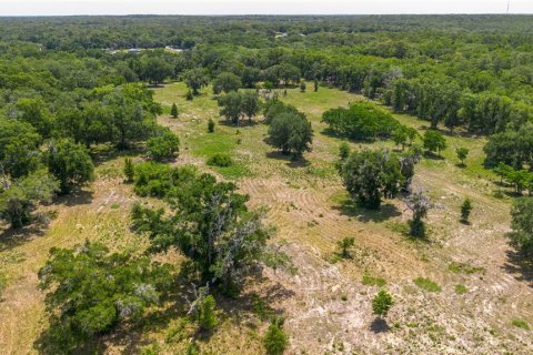 Land in Lady Lake, Florida № 2213833 - photo 22