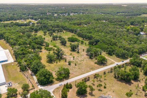 Land in Lady Lake, Florida № 2213833