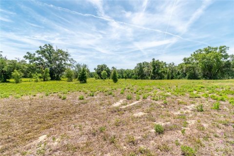 Land in Lady Lake, Florida № 2213833 - photo 7