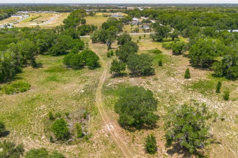 Land in Lady Lake, Florida № 2213833 - photo 19