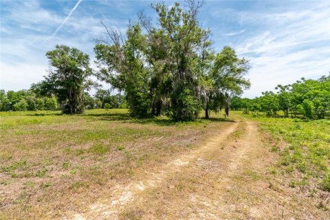 Land in Lady Lake, Florida № 2213833 - photo 4