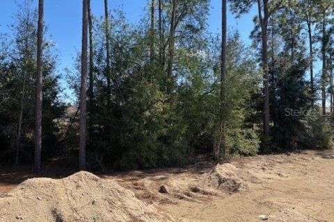 Casa en venta en Dunnellon, Florida, 4 dormitorios, 169.08 m2 № 1538146 - foto 5