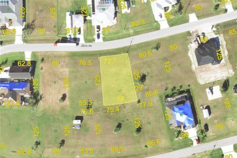 Land in Port Charlotte, Florida № 2162930 - photo 4