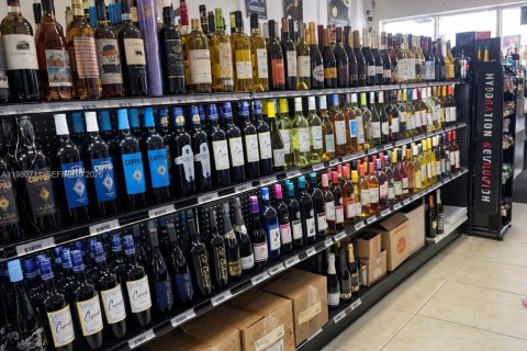 Propiedad comercial en venta en Hallandale Beach, Florida № 2045074 - foto 6