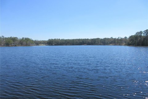 Land in Silver Springs Shores, Florida № 2394377 - photo 2