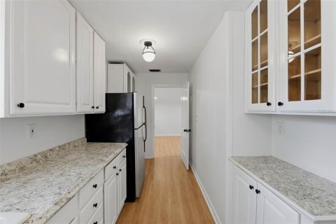 House in Saint Petersburg, Florida 7 bedrooms, 165.74 sq.m. № 2391562 - photo 17
