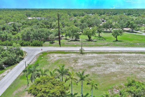 Land in Cape Coral, Florida № 1788458 - photo 24