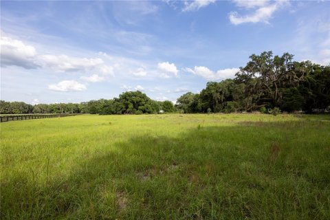 Land in Archer, Florida № 1625486 - photo 12