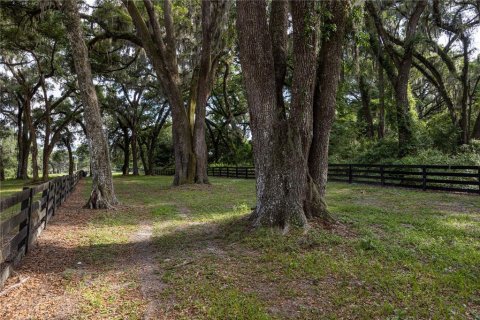 Land in Archer, Florida № 1625486 - photo 10