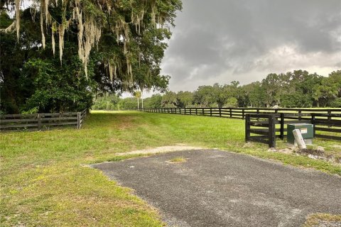 Land in Archer, Florida № 1625486 - photo 30