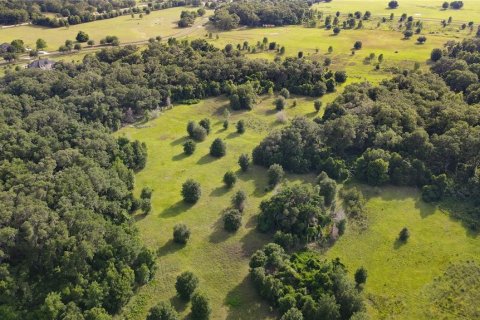 Land in Archer, Florida № 1625486 - photo 21