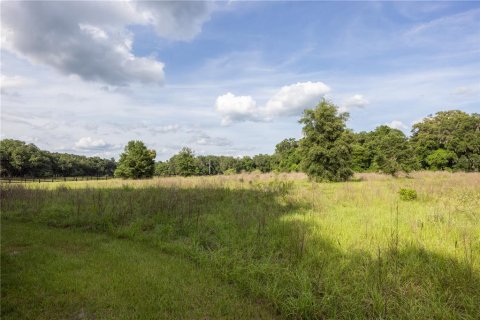 Land in Archer, Florida № 1625486 - photo 17