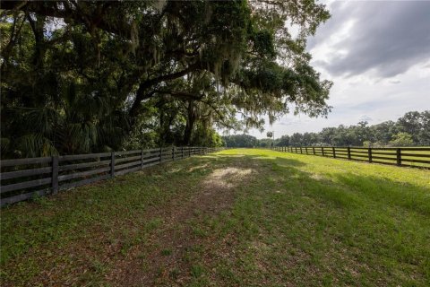 Land in Archer, Florida № 1625486 - photo 4