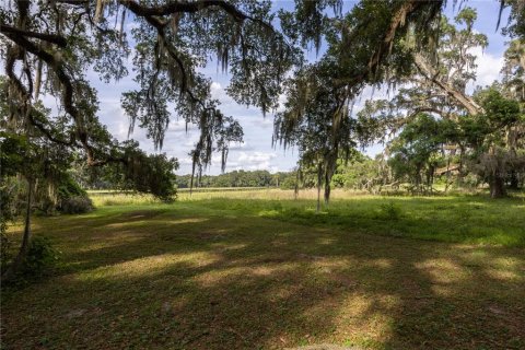 Land in Archer, Florida № 1625486 - photo 9
