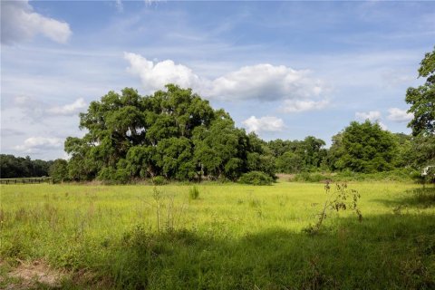 Land in Archer, Florida № 1625486 - photo 14