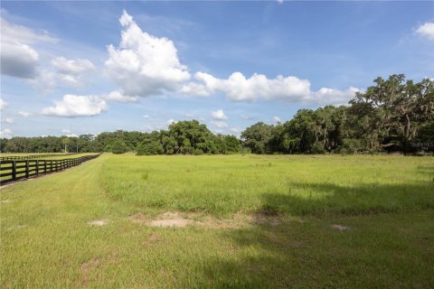 Land in Archer, Florida № 1625486 - photo 8