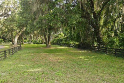 Land in Archer, Florida № 1625486 - photo 19