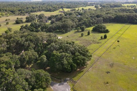 Land in Archer, Florida № 1625486 - photo 20