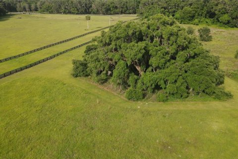 Land in Archer, Florida № 1625486 - photo 24