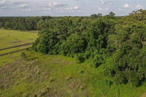 Land in Archer, Florida № 1625486 - photo 26