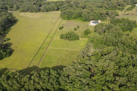 Land in Archer, Florida № 1625486 - photo 23