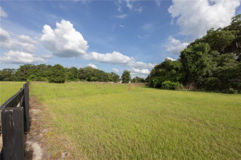 Land in Archer, Florida № 1625486 - photo 6
