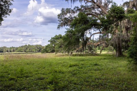 Land in Archer, Florida № 1625486 - photo 11