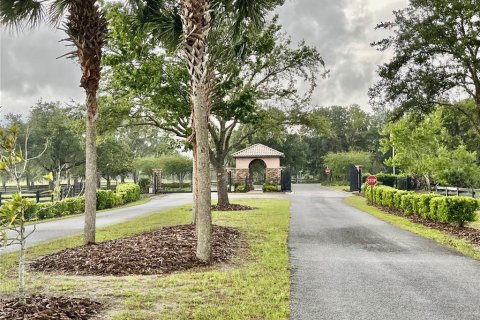 Land in Archer, Florida № 1625486 - photo 3