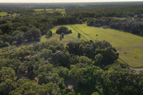 Land in Archer, Florida № 1625486 - photo 28