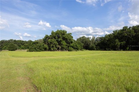 Land in Archer, Florida № 1625486 - photo 13