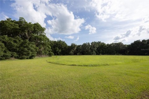 Land in Archer, Florida № 1625486 - photo 7