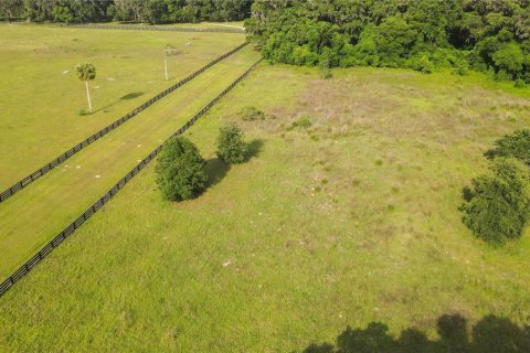 Land in Archer, Florida № 1625486 - photo 25