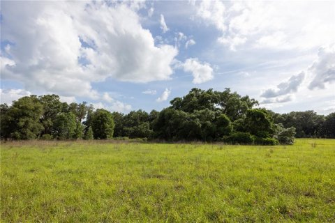 Land in Archer, Florida № 1625486 - photo 5