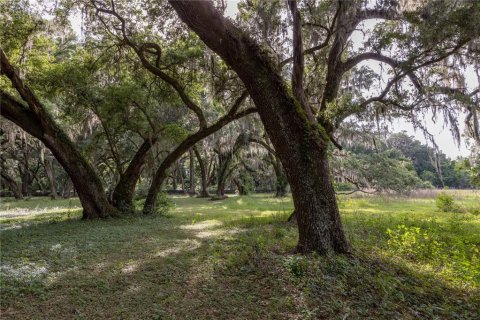 Land in Archer, Florida № 1625486 - photo 16