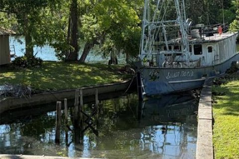 Land in Yankeetown, Florida № 2103451 - photo 11