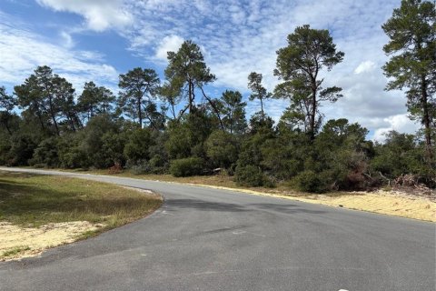 Land in Ocala, Florida № 1564676 - photo 4