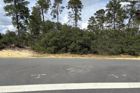 Land in Ocala, Florida № 1564676 - photo 1